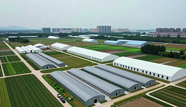 研学旅行策划商务会议接待套餐怎么做得更稳：包车一线经验